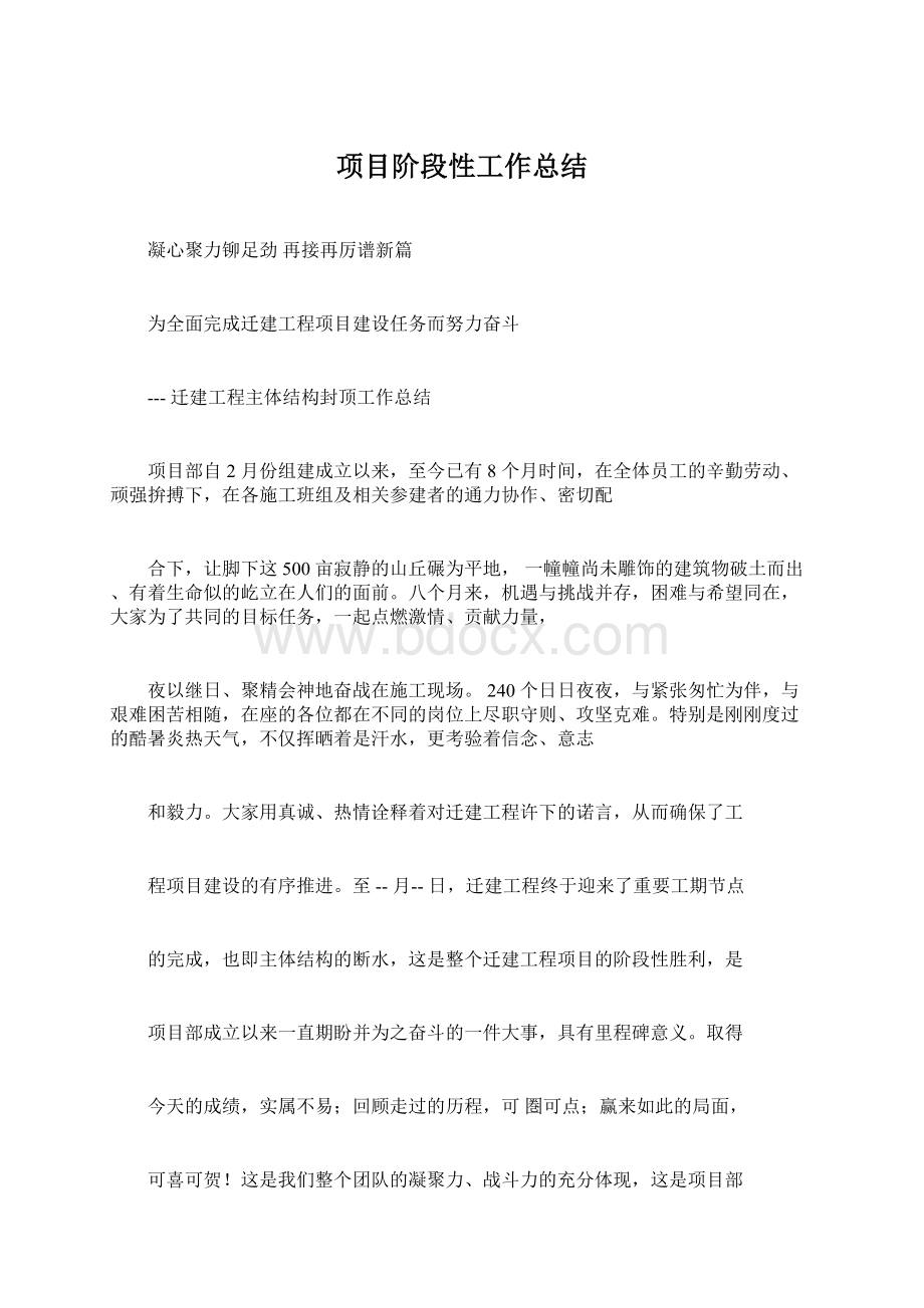 项目阶段性工作总结.docx_第1页