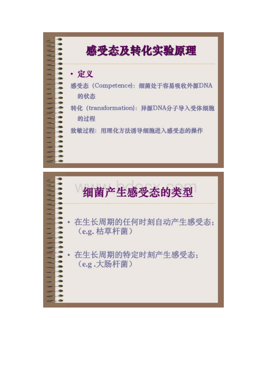 大肠杆菌感受态细胞制备及转化.docx_第2页