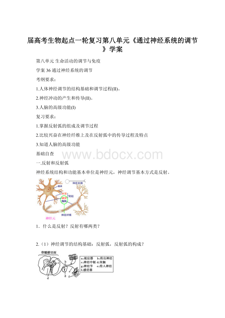 届高考生物起点一轮复习第八单元《通过神经系统的调节》学案Word文档下载推荐.docx