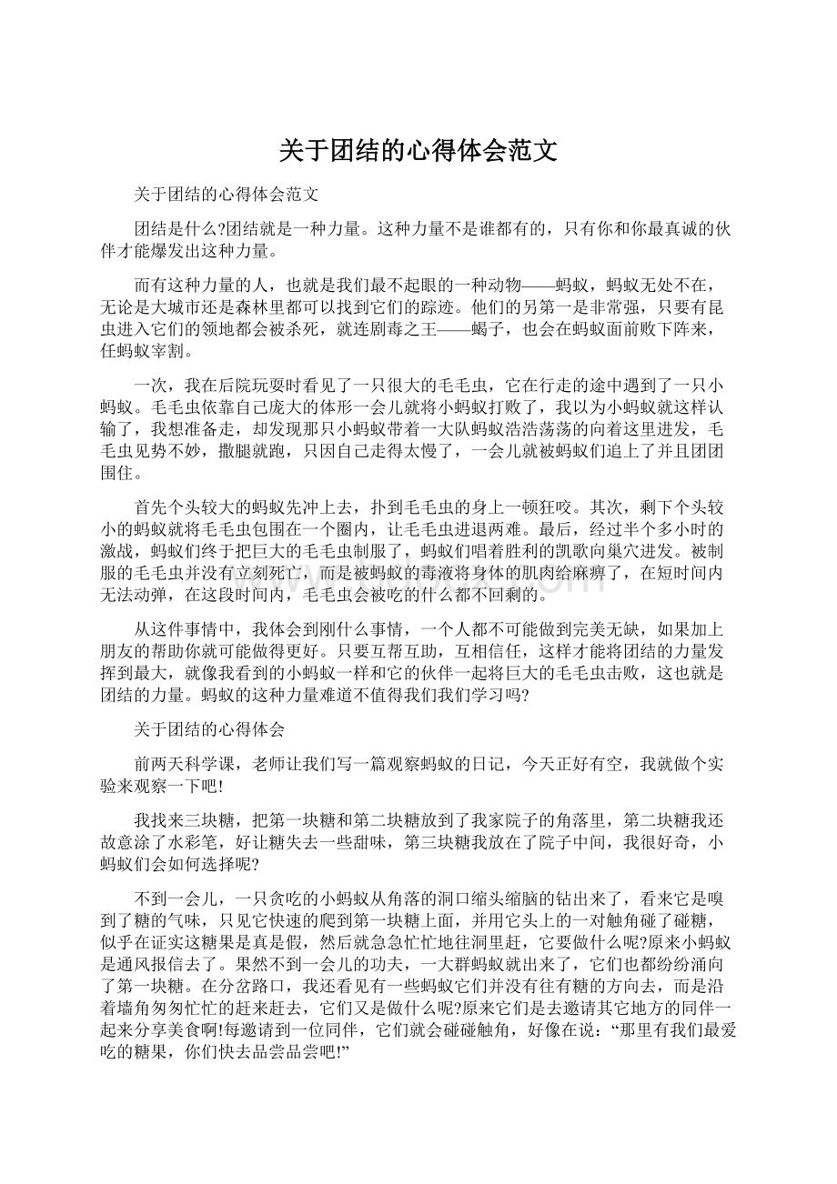 关于团结的心得体会范文.docx_第1页