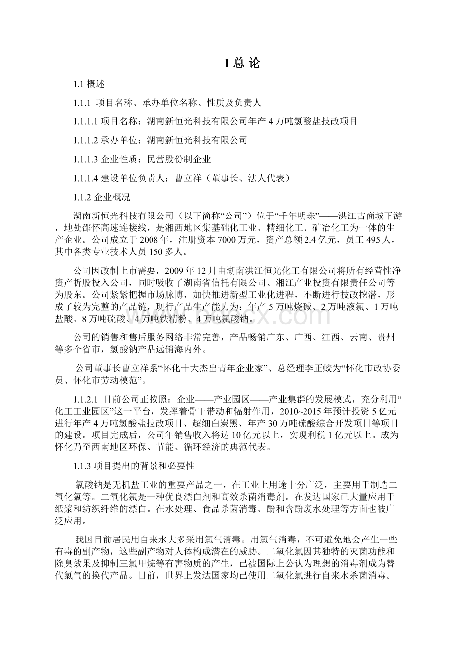 氯酸盐技改项目可行性研究报告.docx_第2页