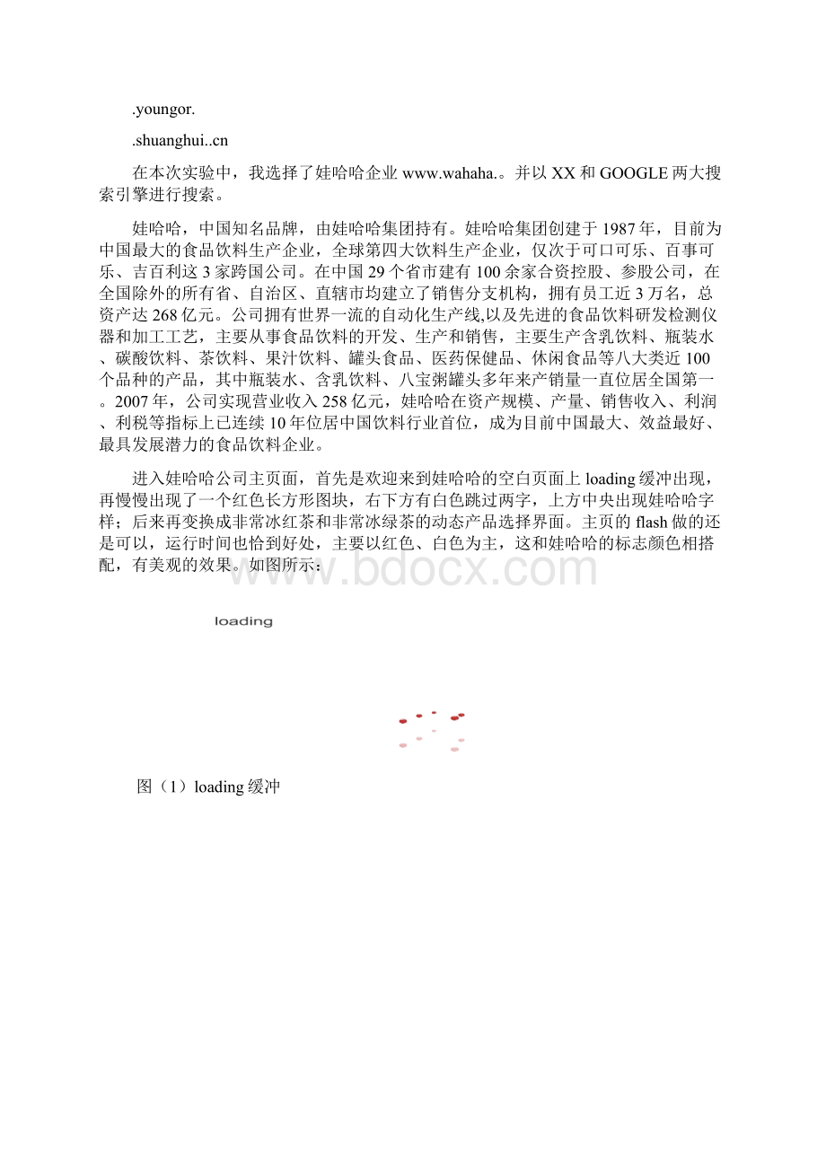 网站搜索引擎友好性分析报告.docx_第2页