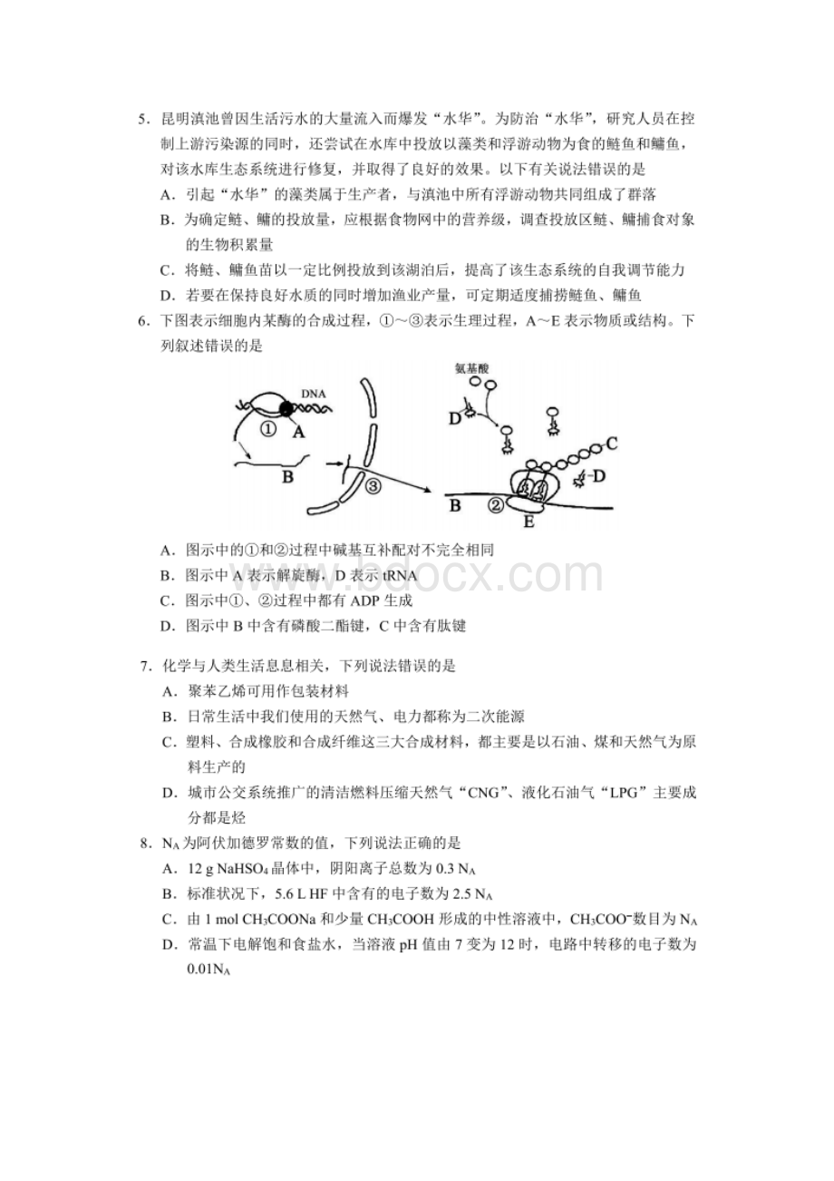 四川省蓉城名校联盟届高三联考理科综合附答案.docx_第2页