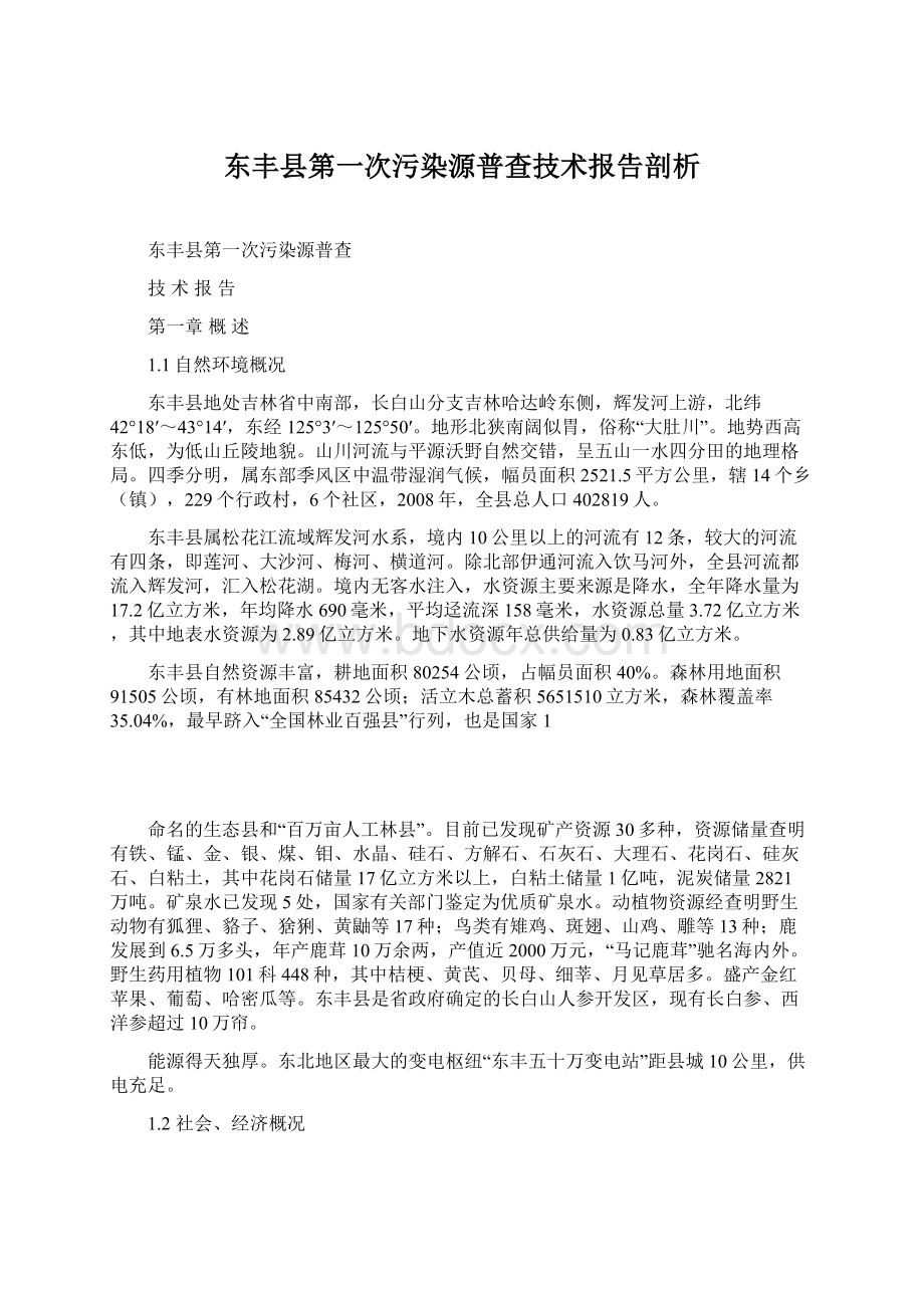 东丰县第一次污染源普查技术报告剖析.docx_第1页