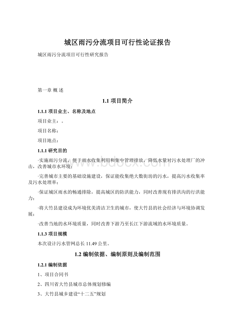 城区雨污分流项目可行性论证报告Word下载.docx