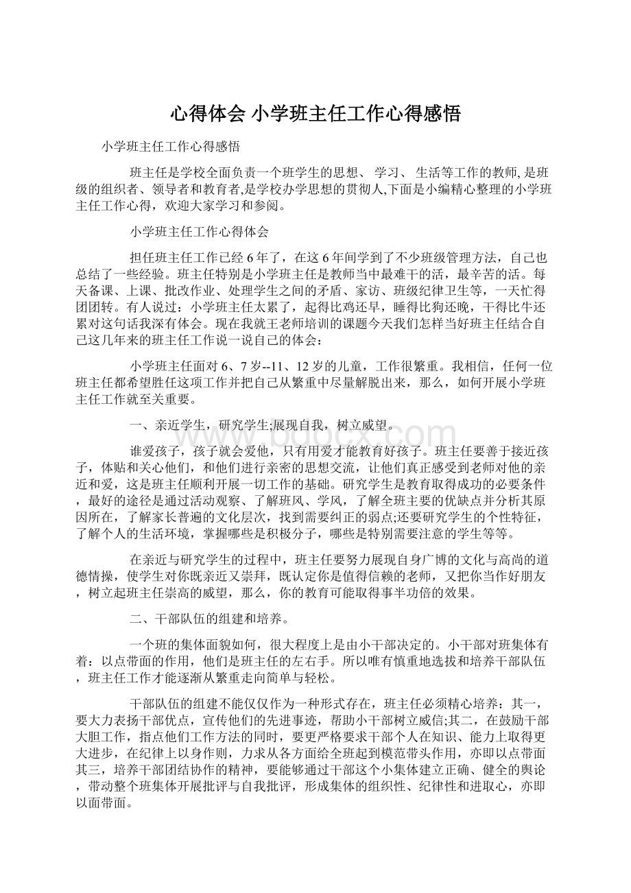 心得体会 小学班主任工作心得感悟Word文档下载推荐.docx