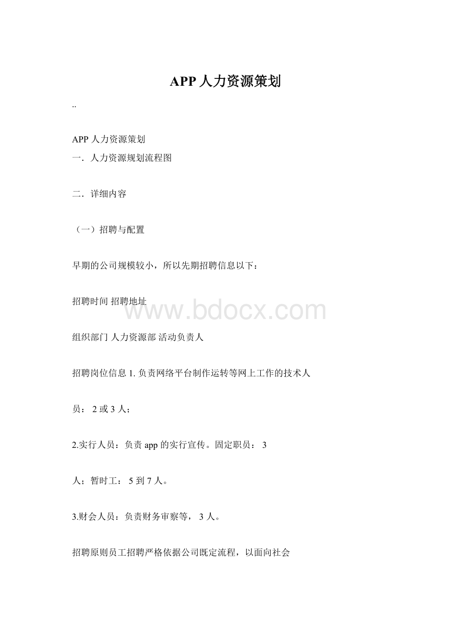 APP人力资源策划.docx