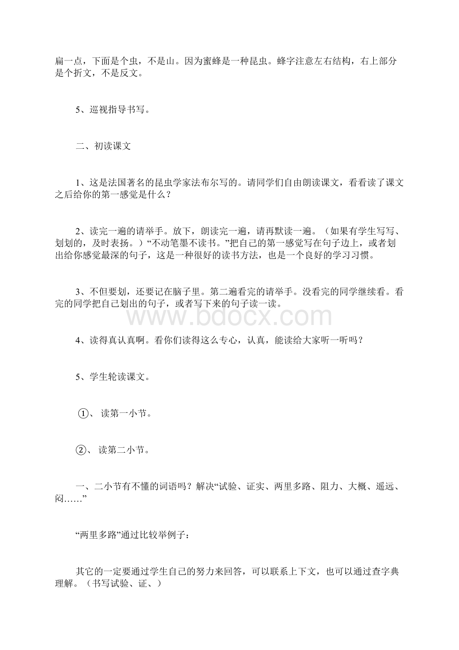 蜜 蜂 教案Word格式文档下载.docx_第3页