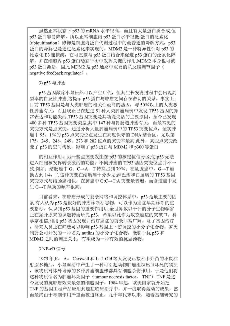 肿瘤常见信号通路.docx_第3页