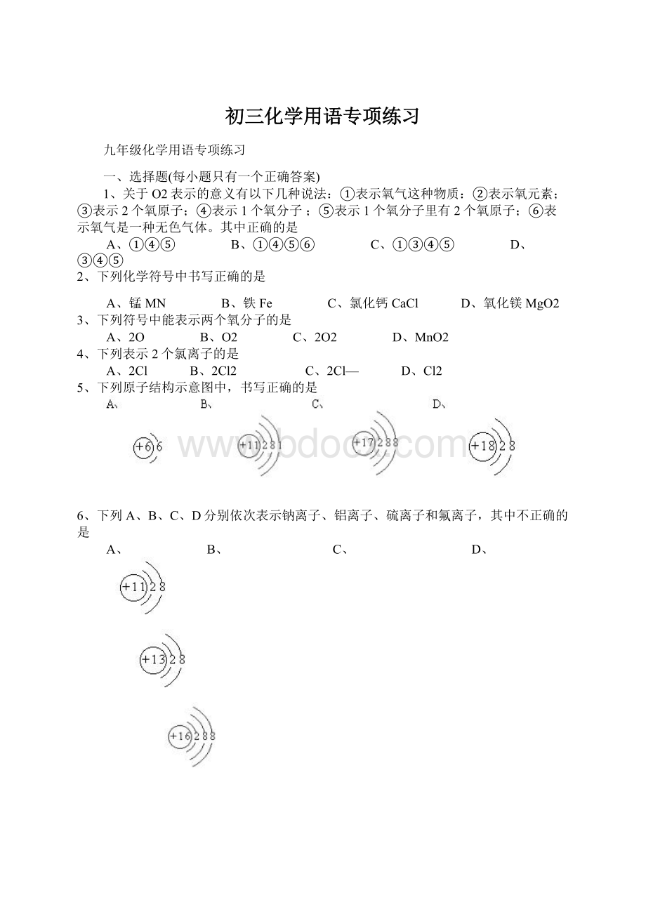 初三化学用语专项练习Word文件下载.docx