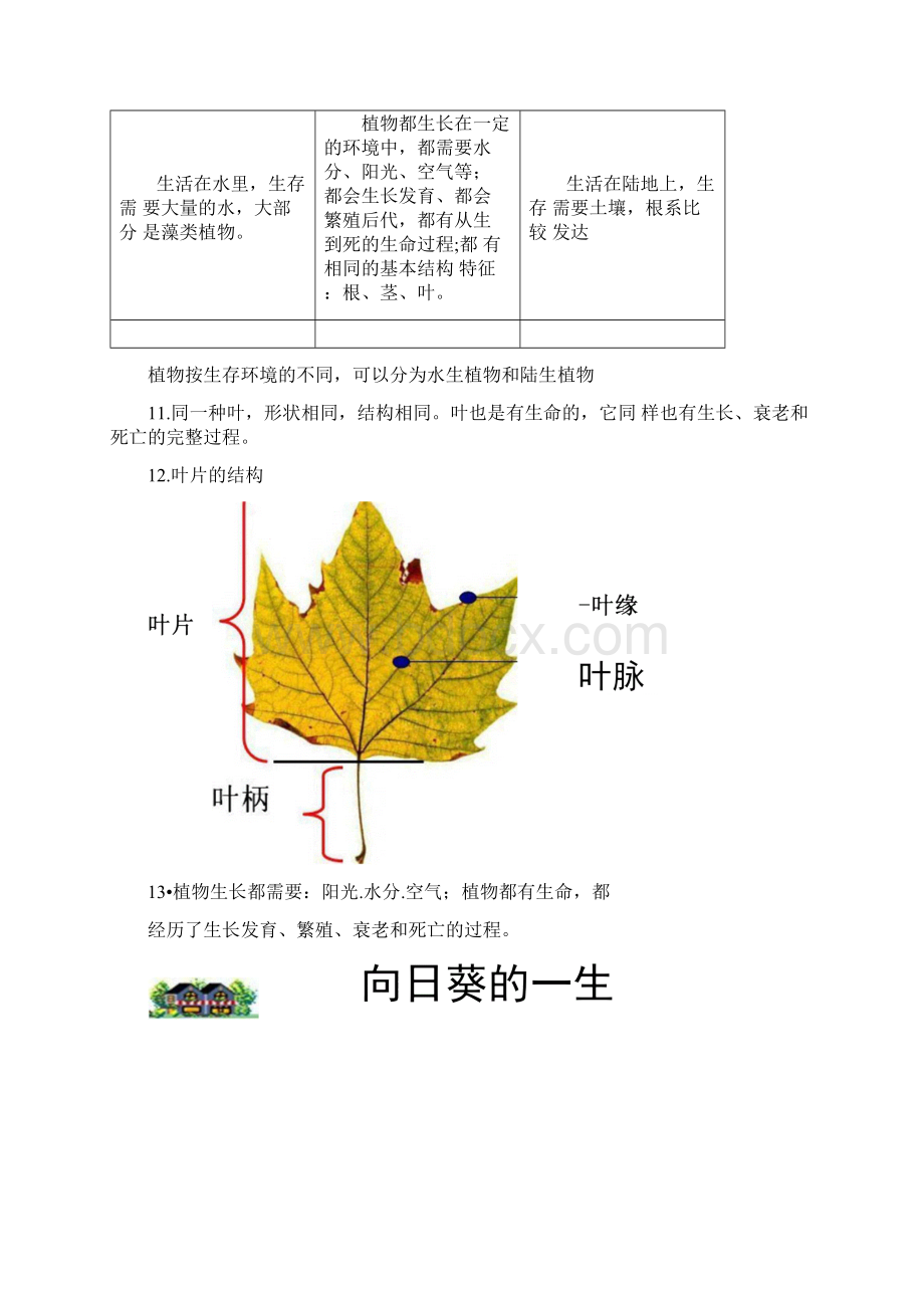 第一单元《植物》知识点整理docxWord格式文档下载.docx_第3页