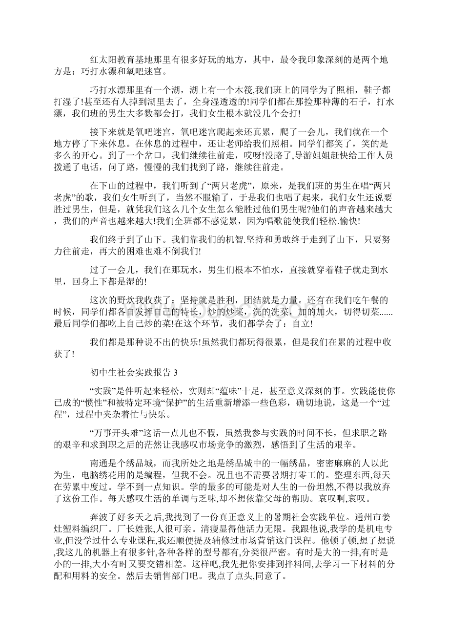 初中生假期社会活动实践报告.docx_第3页