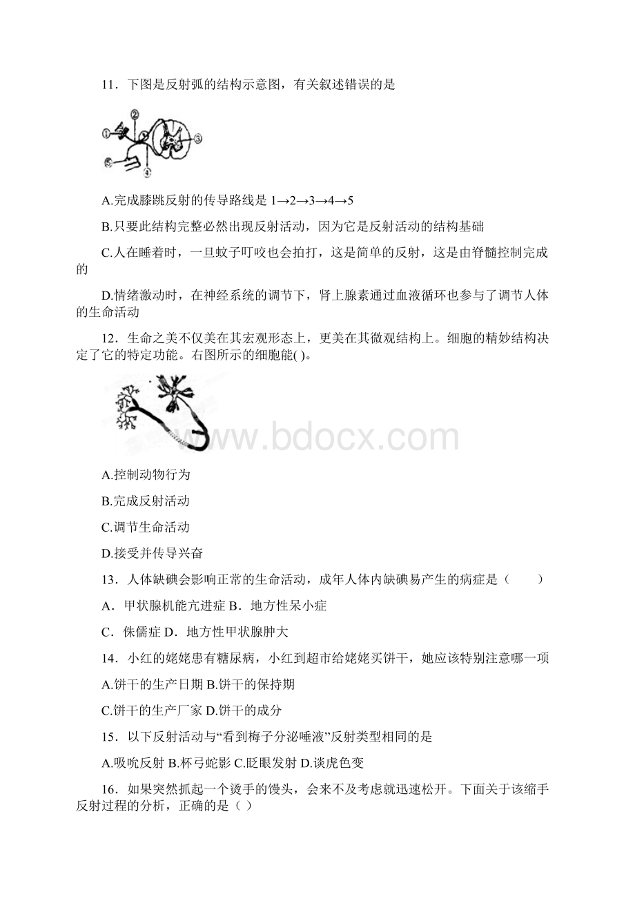 神经调节.docx_第3页