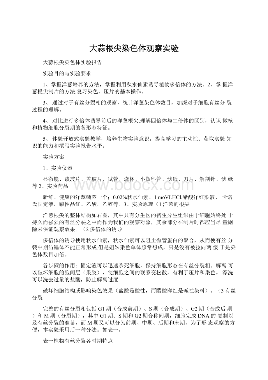 大蒜根尖染色体观察实验.docx