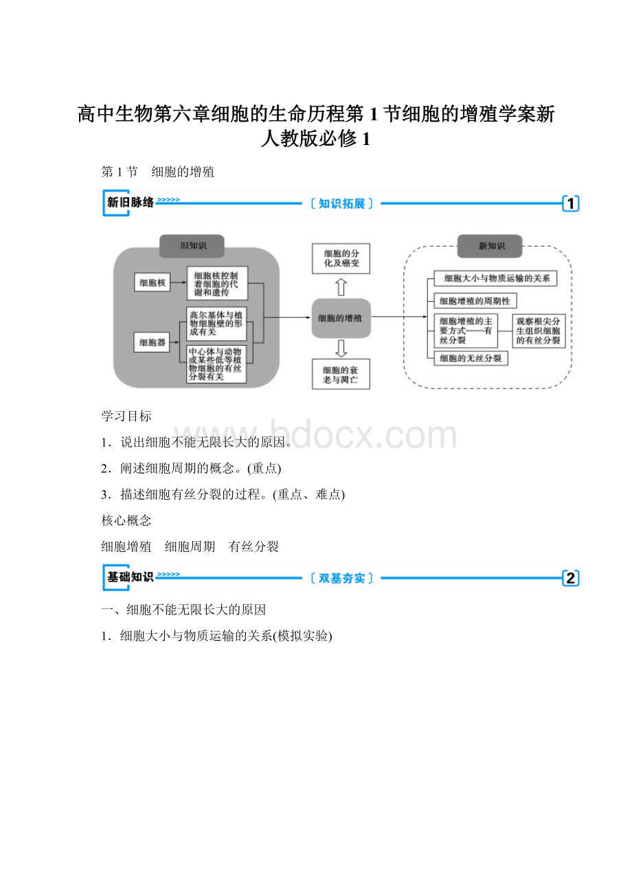 高中生物第六章细胞的生命历程第1节细胞的增殖学案新人教版必修1.docx