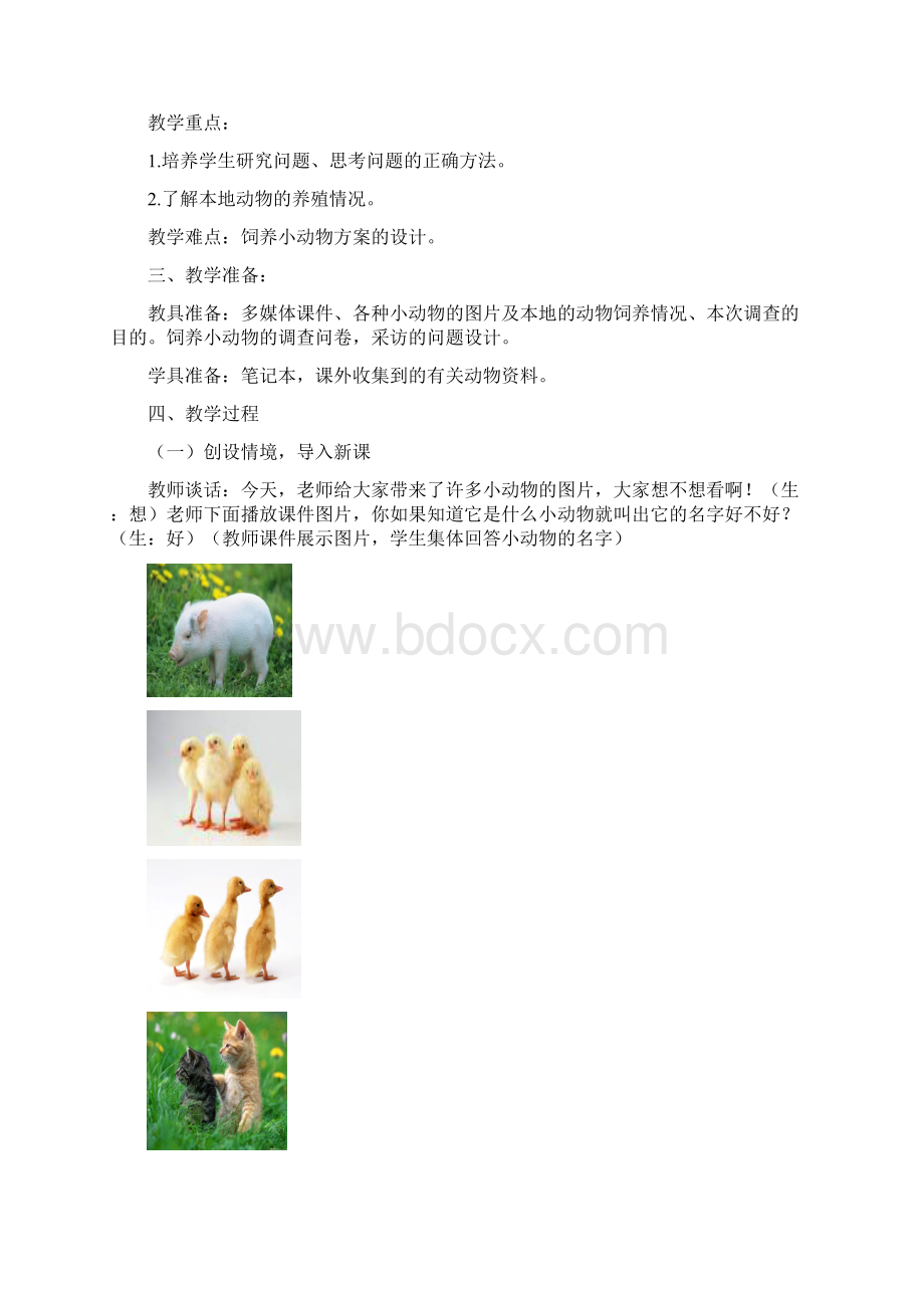 推荐参考案例四下《身边的动物》饲养小动物.docx_第3页