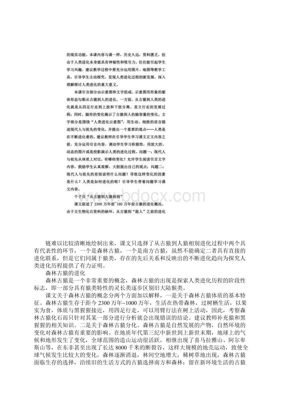 人类进化的历程教案.docx_第3页