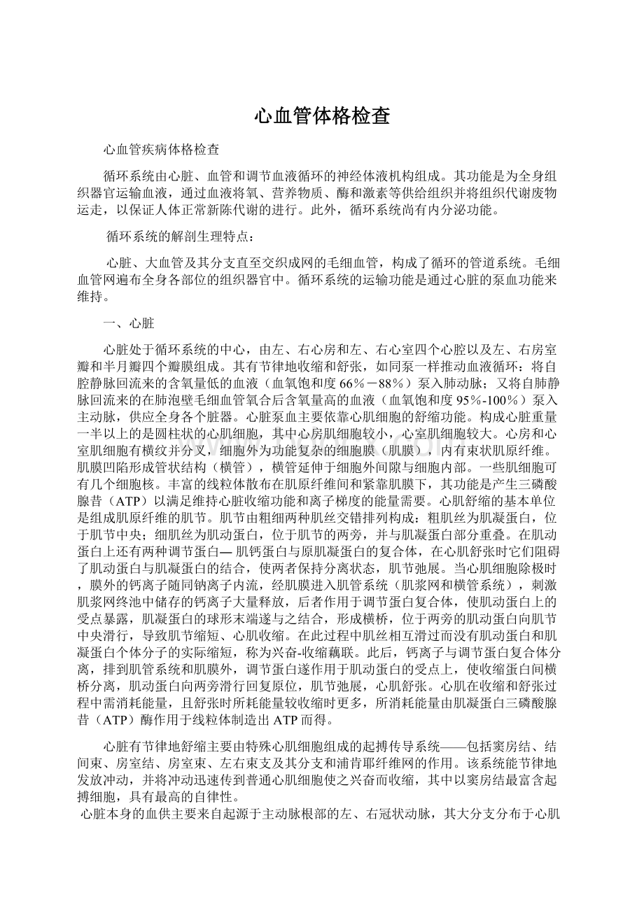 心血管体格检查Word文件下载.docx