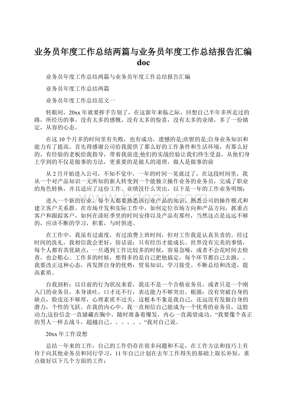 业务员年度工作总结两篇与业务员年度工作总结报告汇编docWord文件下载.docx_第1页