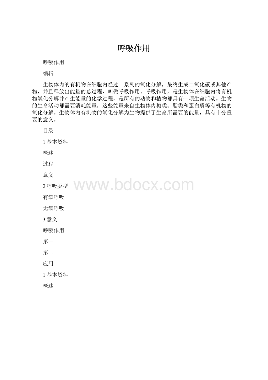 呼吸作用Word文档格式.docx