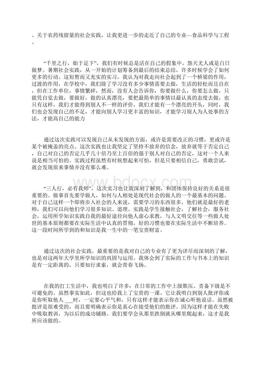 精选寒假实践报告汇编九篇.docx_第3页