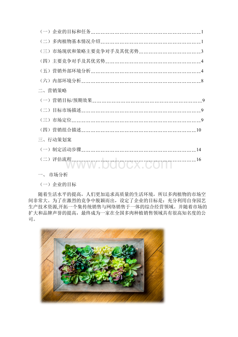 多肉植物市场营销策划书.docx_第2页