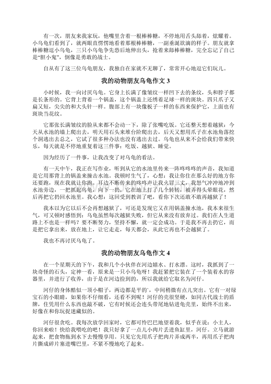 我的动物朋友乌龟作文Word文件下载.docx_第2页