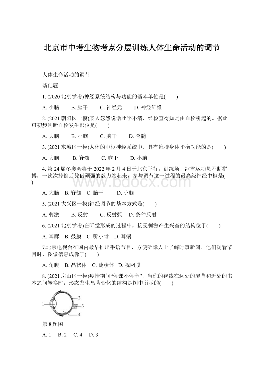 北京市中考生物考点分层训练人体生命活动的调节Word文件下载.docx