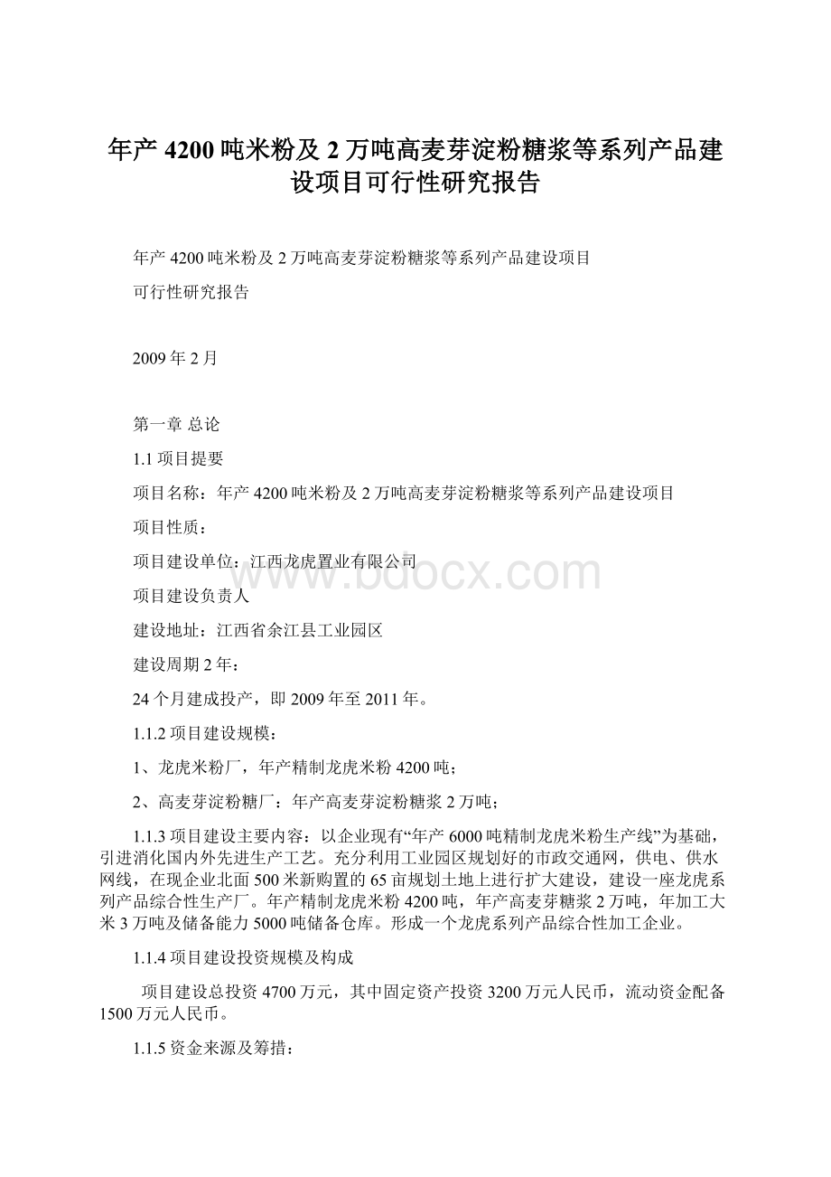 年产4200吨米粉及2万吨高麦芽淀粉糖浆等系列产品建设项目可行性研究报告文档格式.docx_第1页