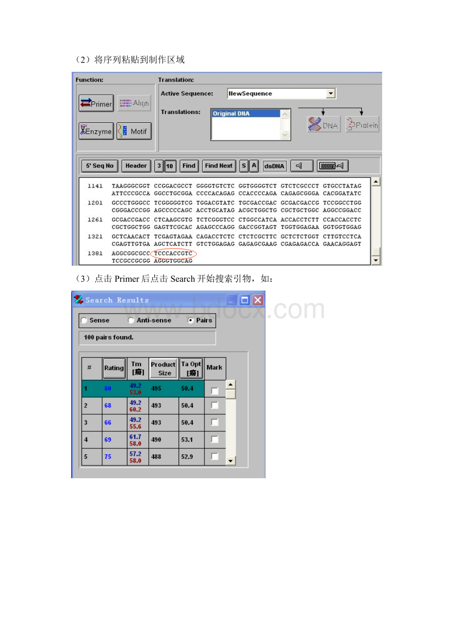 引物设计流程.docx_第3页