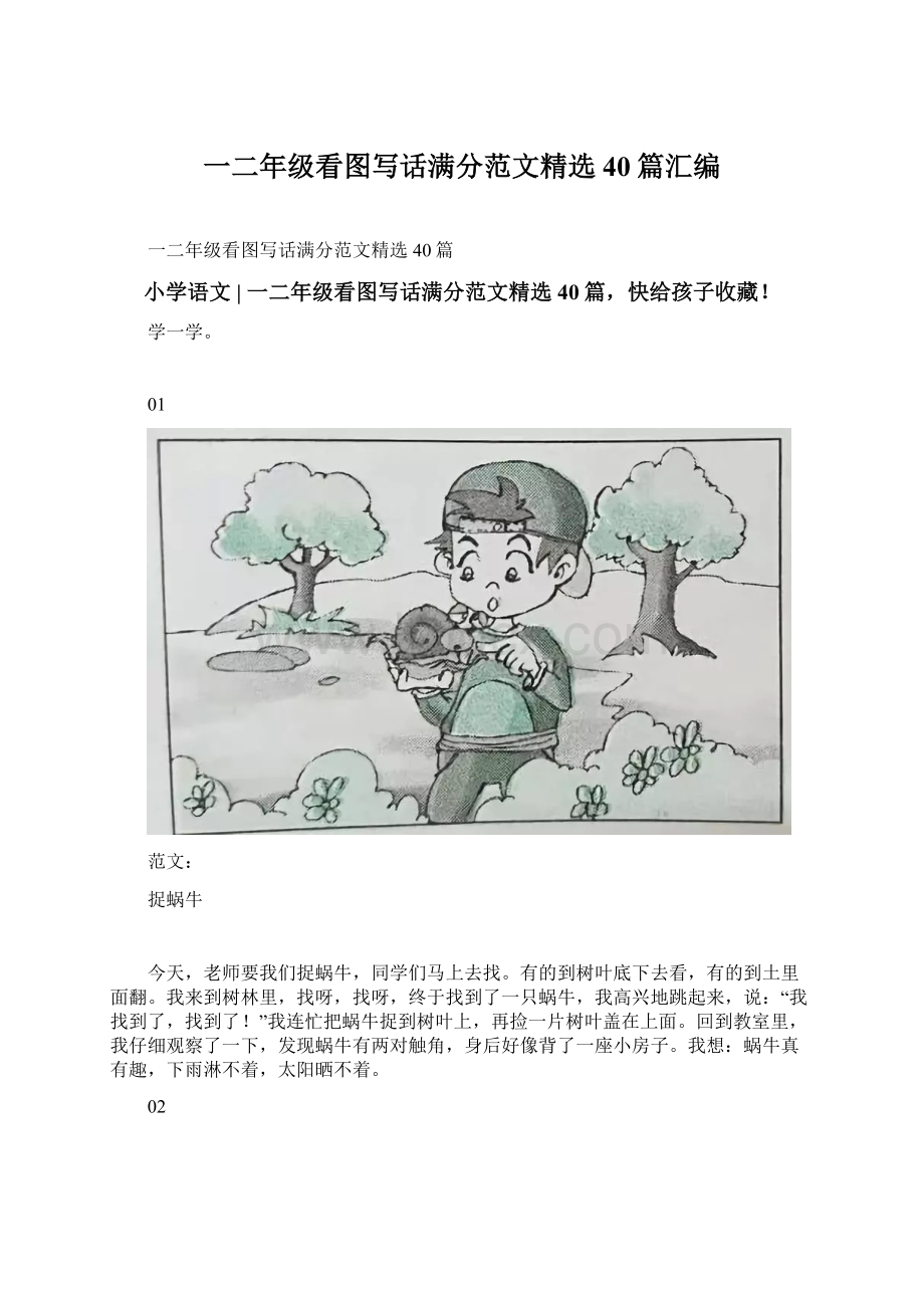 一二年级看图写话满分范文精选40篇汇编.docx