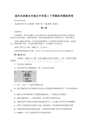 届河北省衡水市重点中学高三下学期高考模拟密卷Word格式.docx