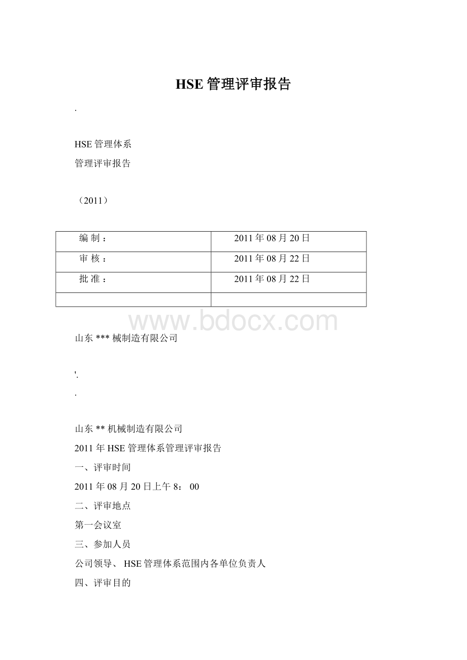 HSE管理评审报告.docx_第1页