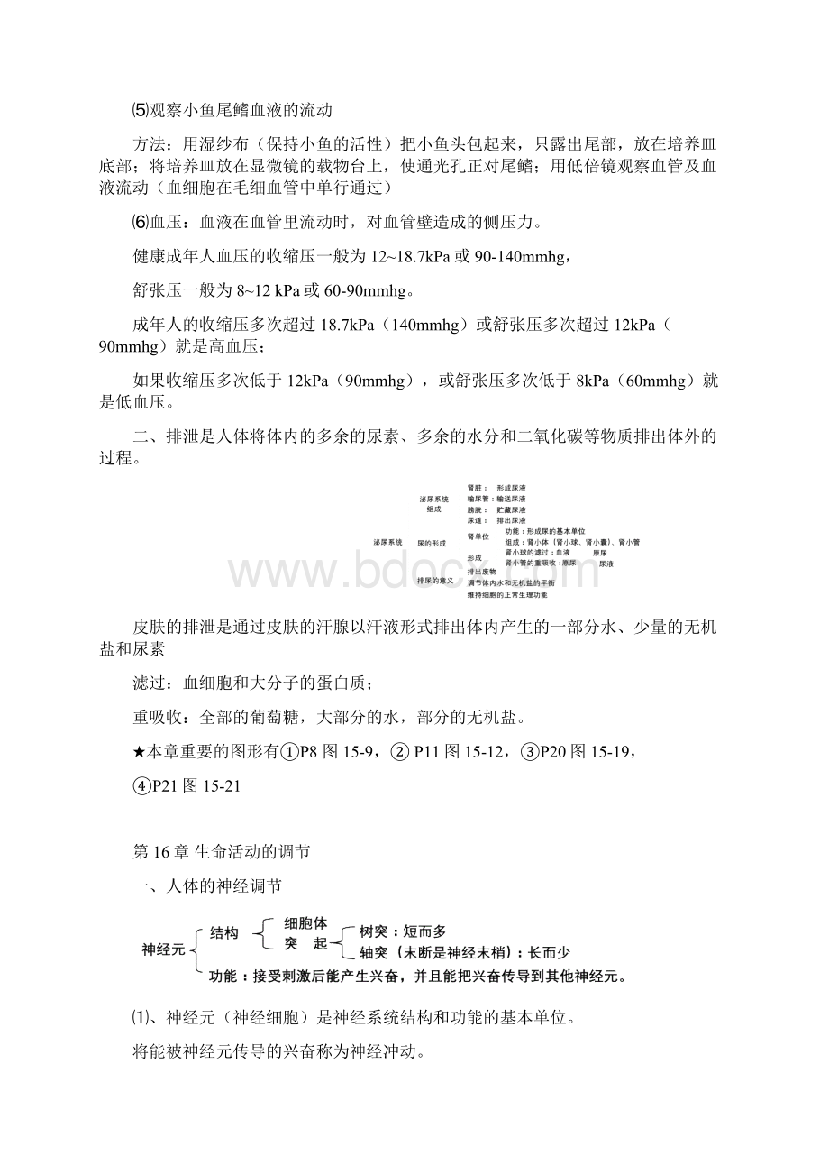 完整word版苏科版八年级上册生物复习提纲.docx_第3页