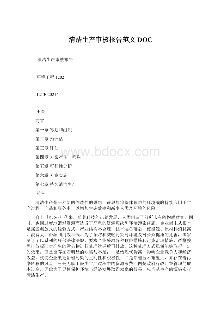 清洁生产审核报告范文DOCWord格式文档下载.docx