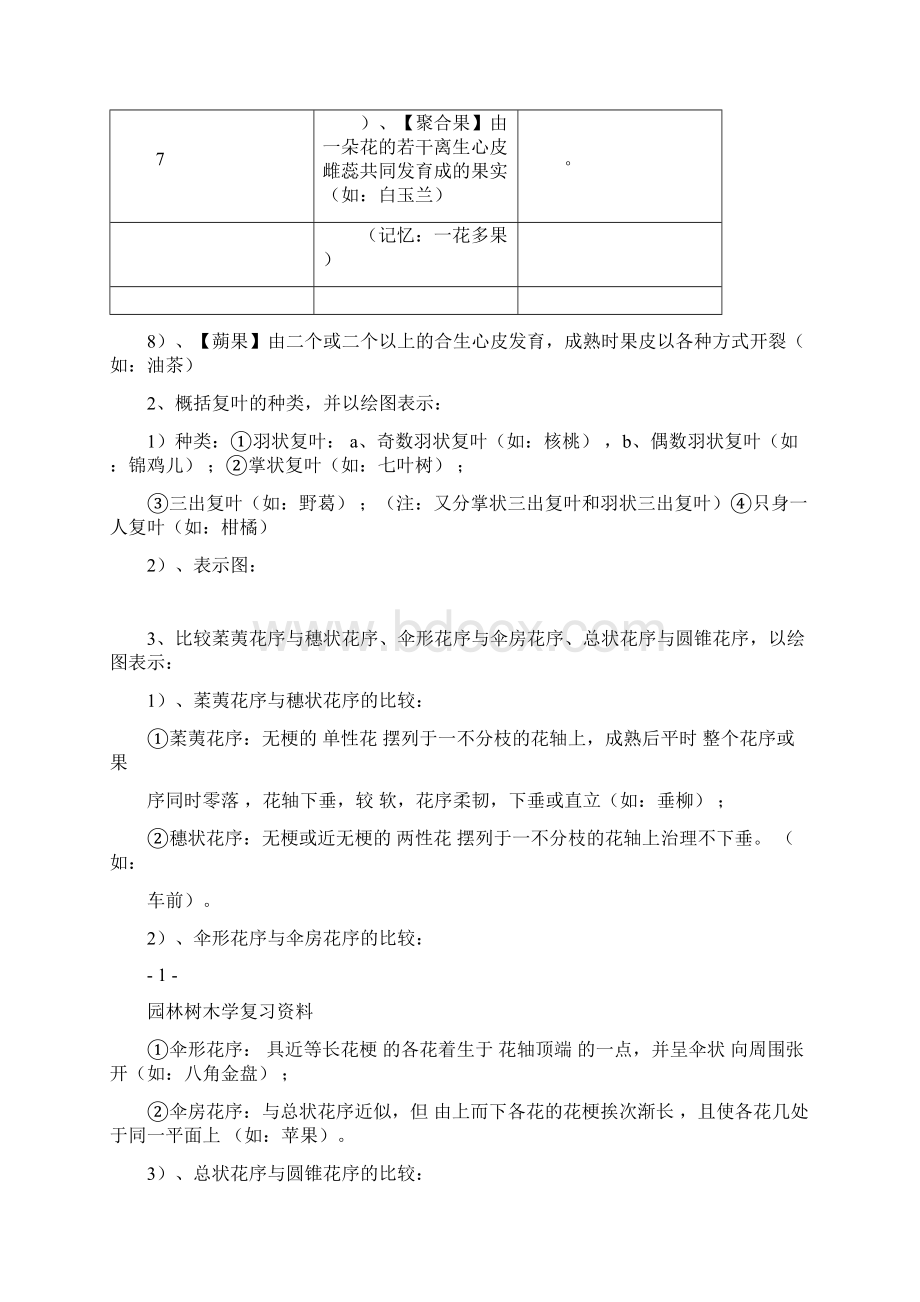 树木学知识全解Word格式.docx_第2页