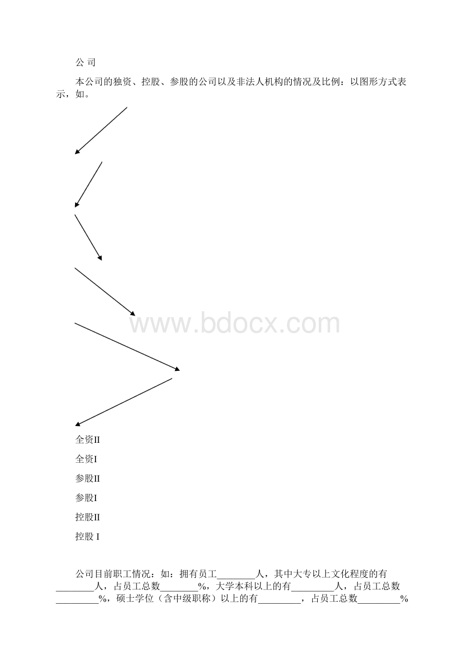 商业险投资计划书Word格式.docx_第2页