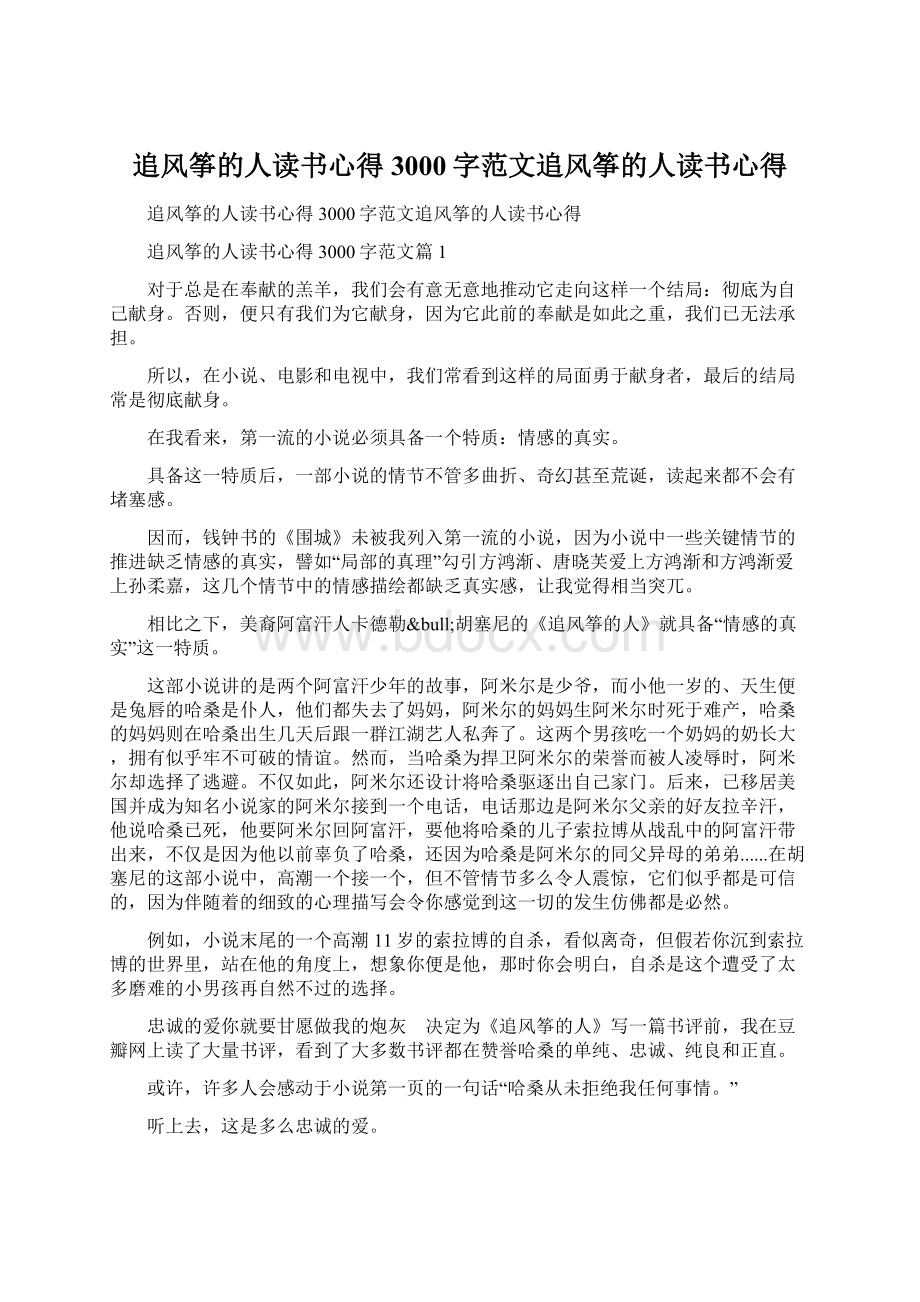 追风筝的人读书心得3000字范文追风筝的人读书心得Word文档下载推荐.docx