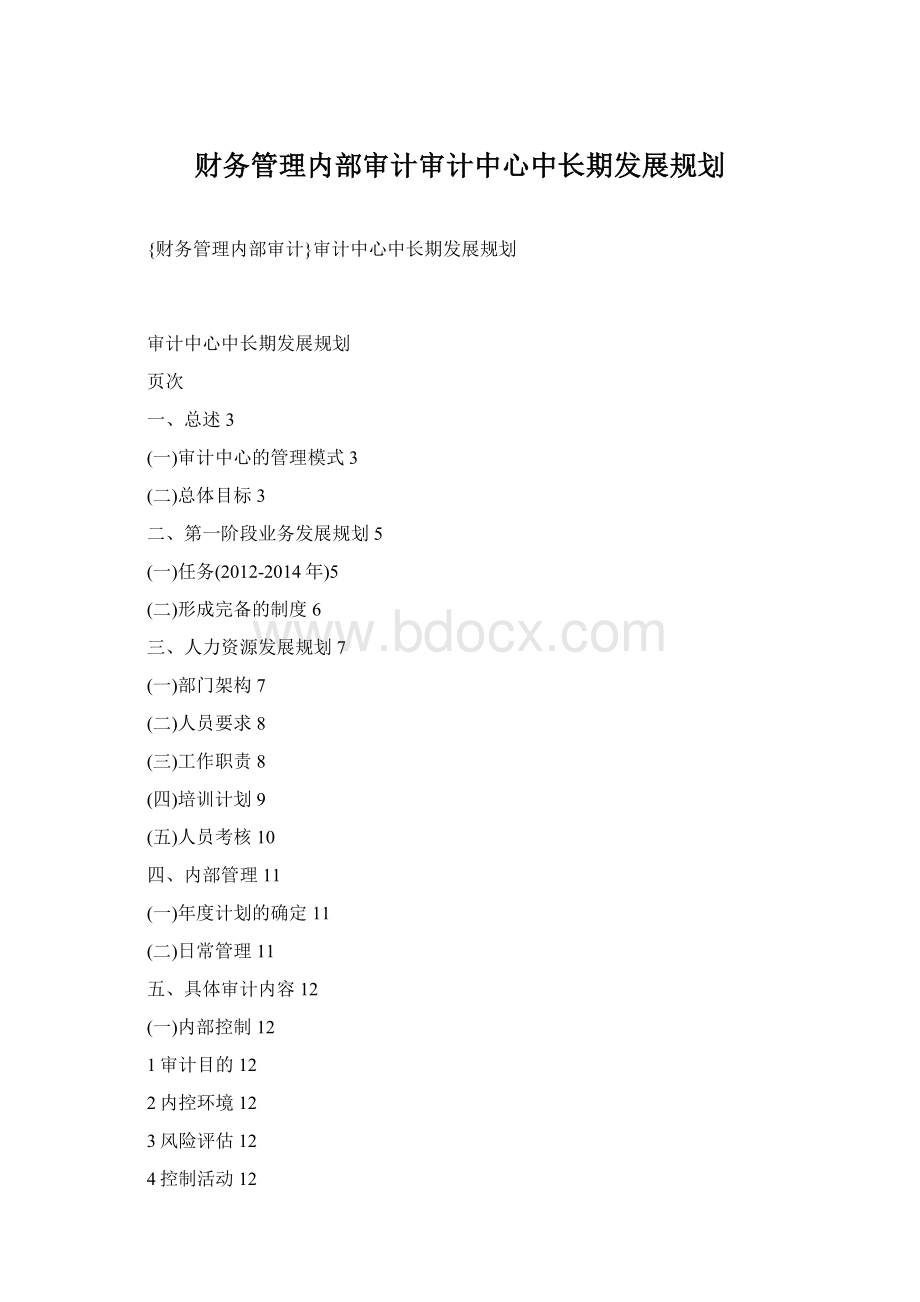 财务管理内部审计审计中心中长期发展规划.docx_第1页