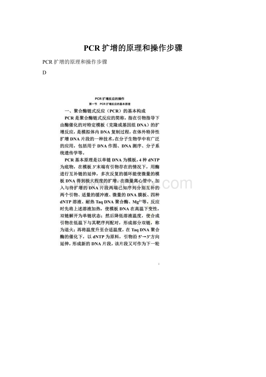 PCR扩增的原理和操作步骤.docx_第1页