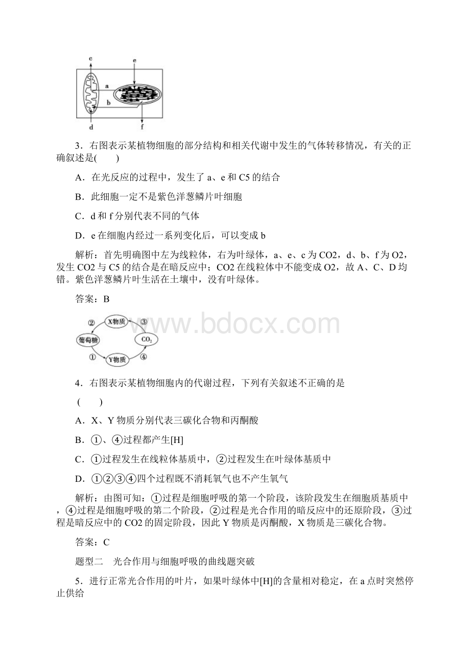 二轮复习光合作用与细胞呼吸答案及解析.docx_第2页