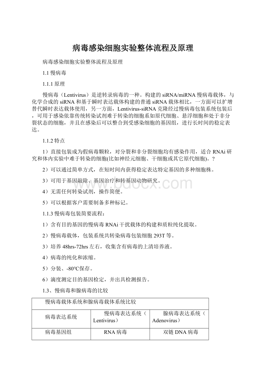 病毒感染细胞实验整体流程及原理Word文件下载.docx