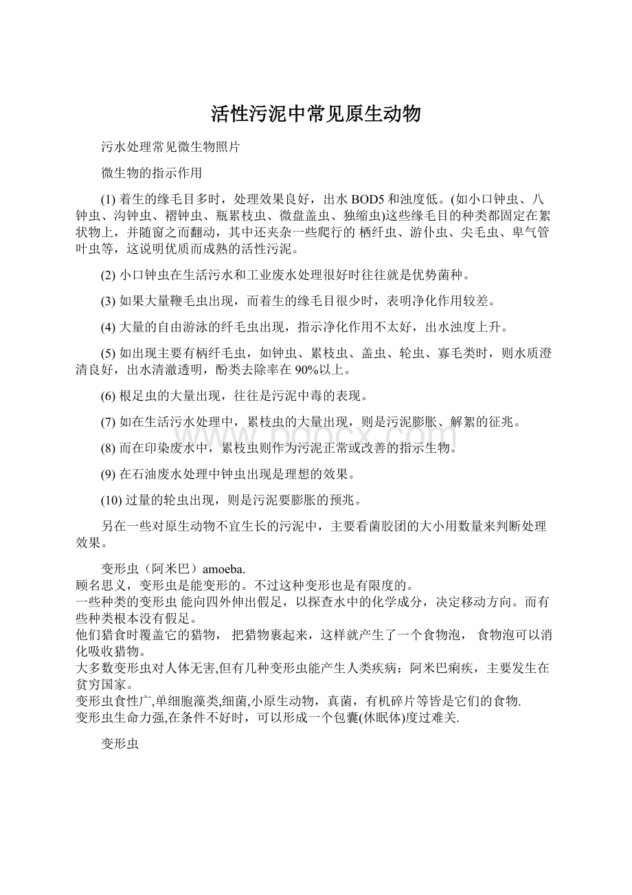 活性污泥中常见原生动物文档格式.docx_第1页