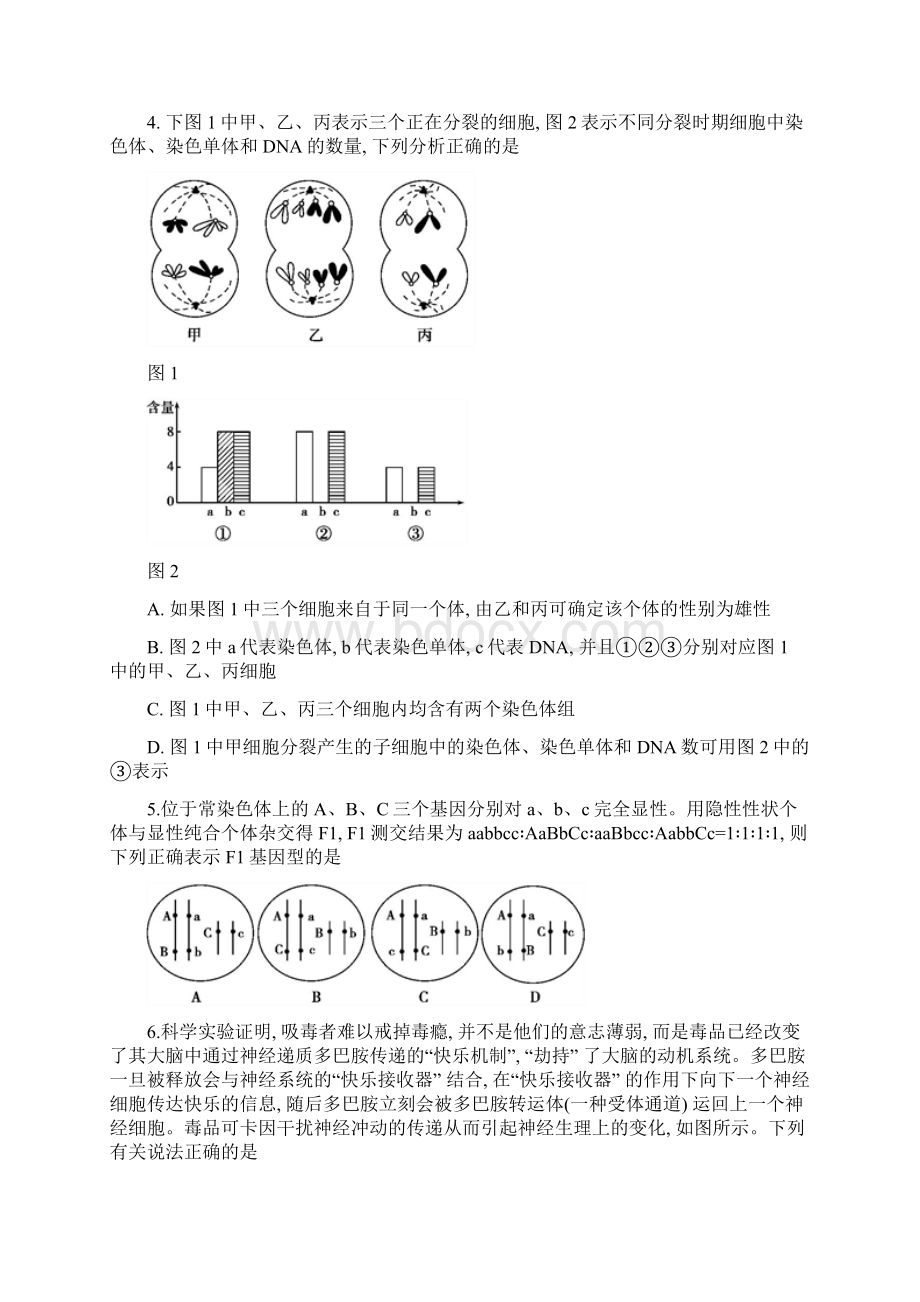 湖南高考理综模拟卷全国1卷Word下载.docx_第3页