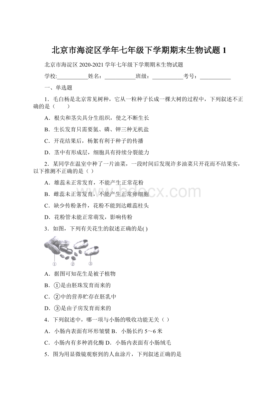 北京市海淀区学年七年级下学期期末生物试题 1Word下载.docx