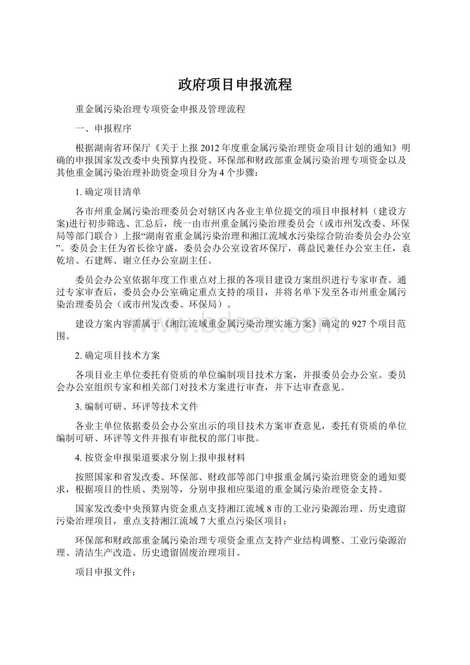 政府项目申报流程文档格式.docx