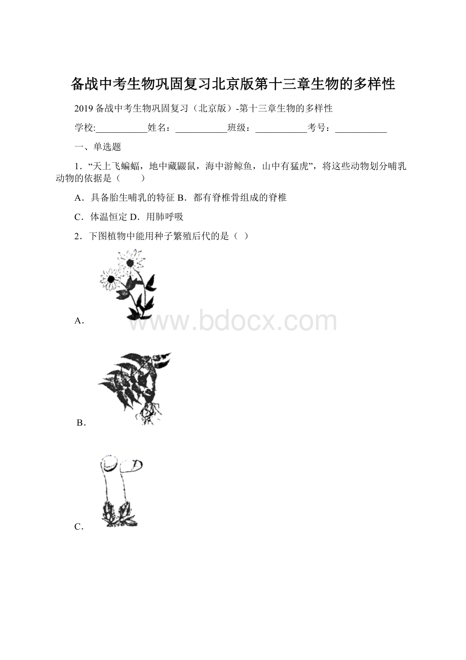 备战中考生物巩固复习北京版第十三章生物的多样性文档格式.docx_第1页