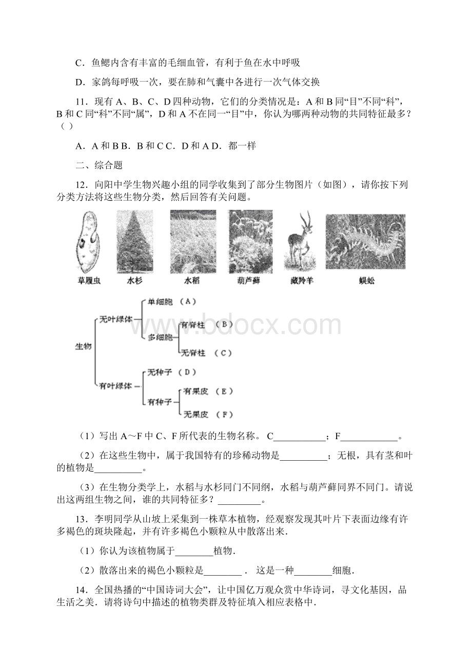 备战中考生物巩固复习北京版第十三章生物的多样性文档格式.docx_第3页