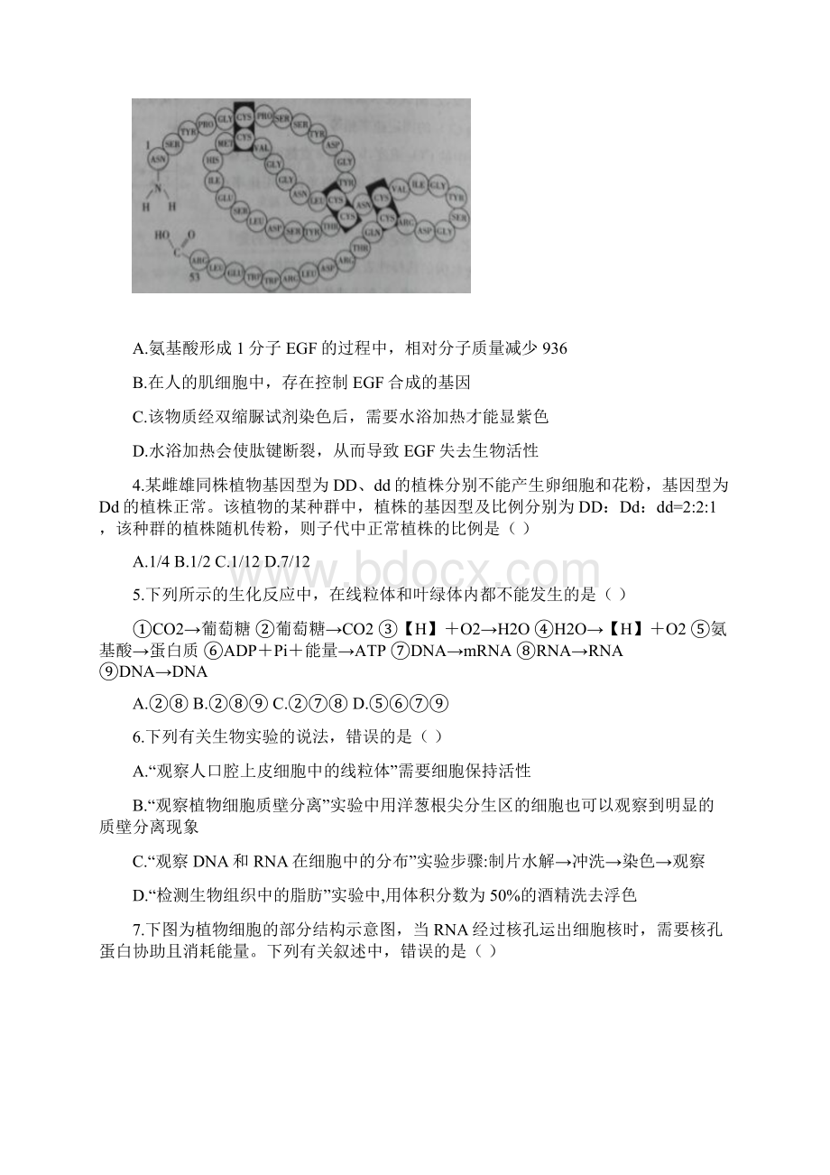 惠民二中高三生物期中考试冲刺卷六.docx_第2页