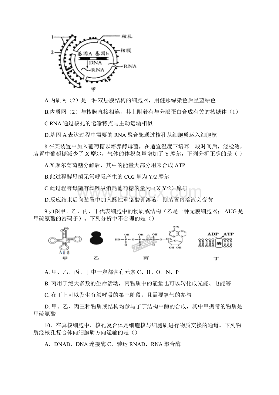 惠民二中高三生物期中考试冲刺卷六.docx_第3页